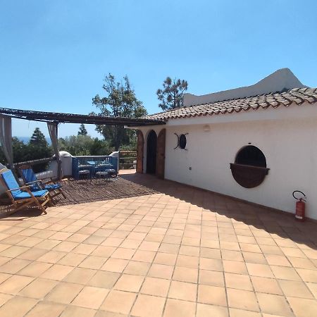Chia Aloe & Cactus Villa Ngoại thất bức ảnh
