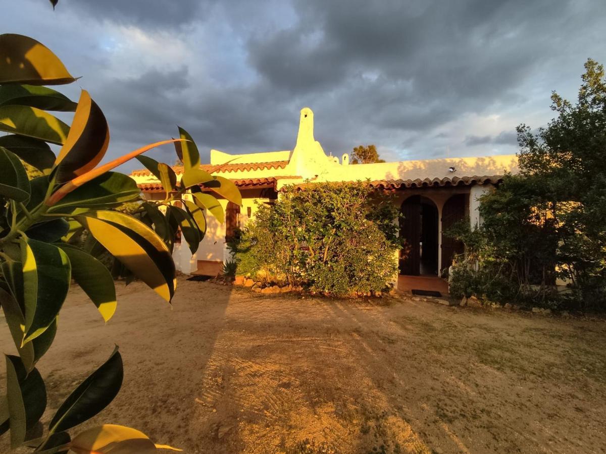 Chia Aloe & Cactus Villa Ngoại thất bức ảnh