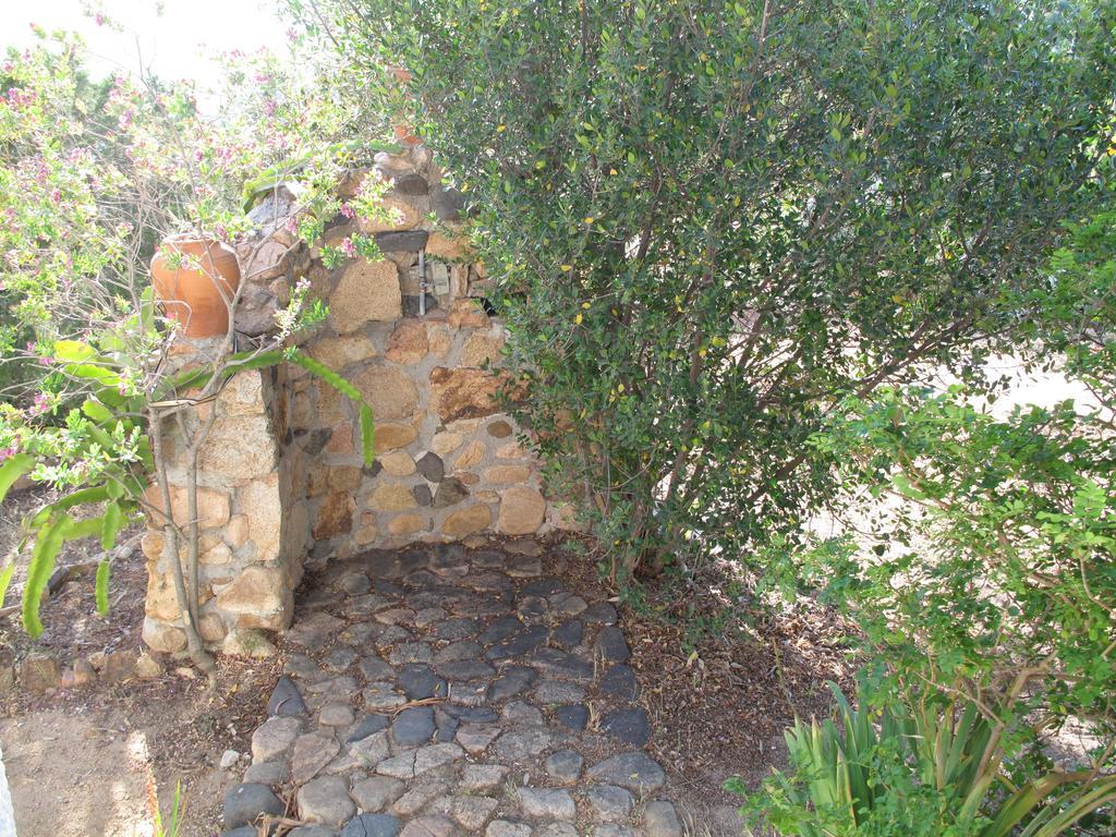 Chia Aloe & Cactus Villa Ngoại thất bức ảnh