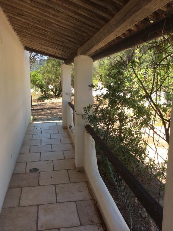 Chia Aloe & Cactus Villa Ngoại thất bức ảnh