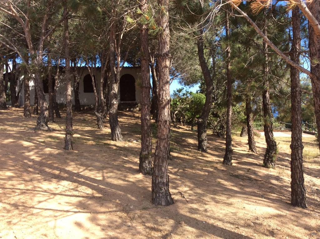 Chia Aloe & Cactus Villa Ngoại thất bức ảnh