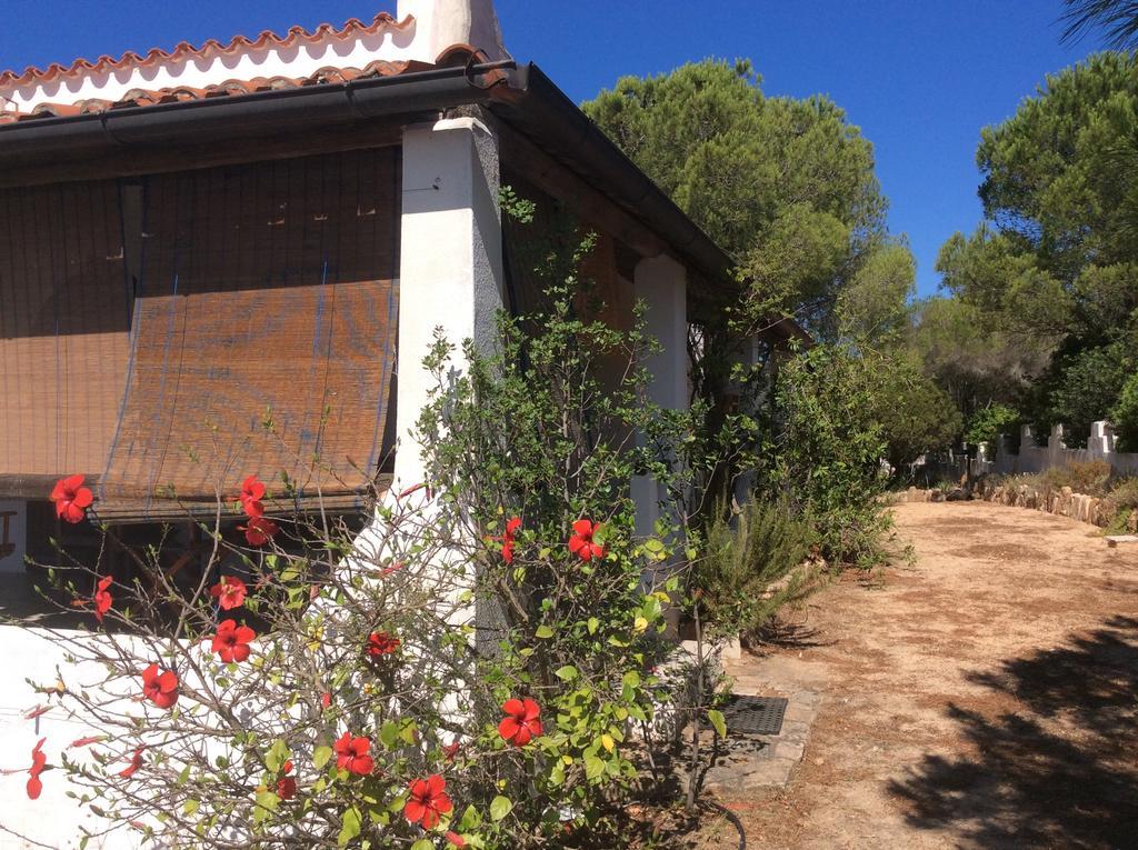 Chia Aloe & Cactus Villa Ngoại thất bức ảnh